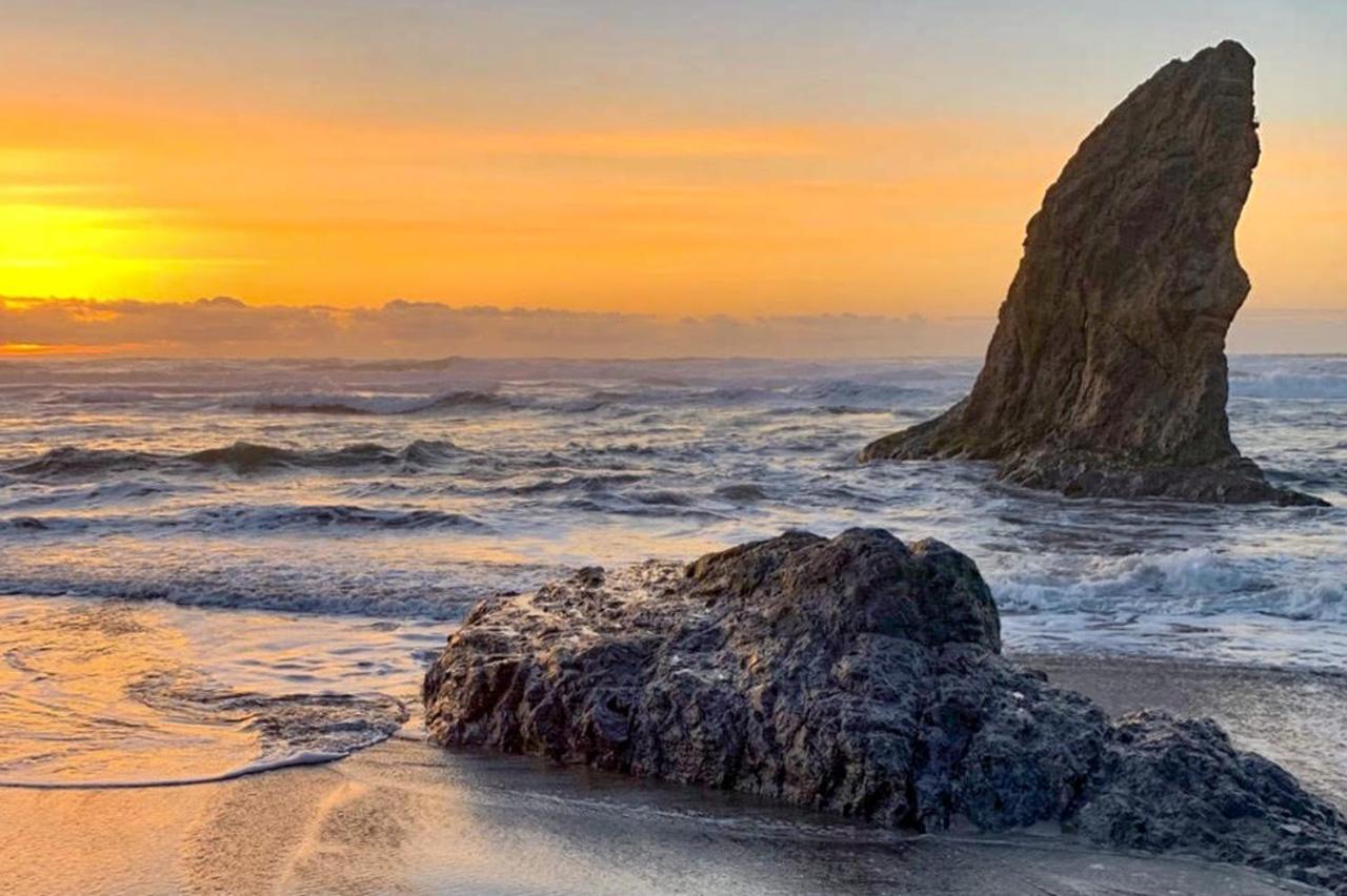 Sand Dollar Shore Fort Bragg Bagian luar foto